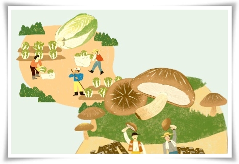 텃밭 "5월에 심기 좋은 작물" 초보도 척척, 실패 없이 풍성하게 수확하는 법!