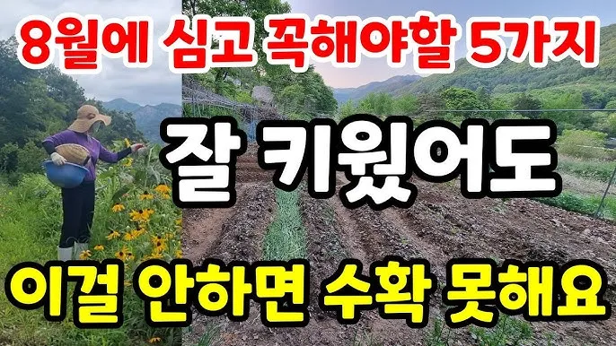 &amp;quot;8월