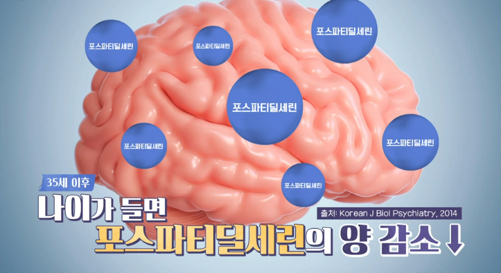 포스파티딜세린