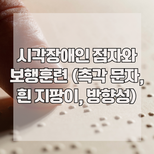 시각장애인 점자와 보행훈련 (촉각 문자, 흰 지팡이, 방향성)