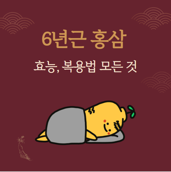 6년근 홍삼의 진가: 홍삼 효능과 먹는 법 A to Z