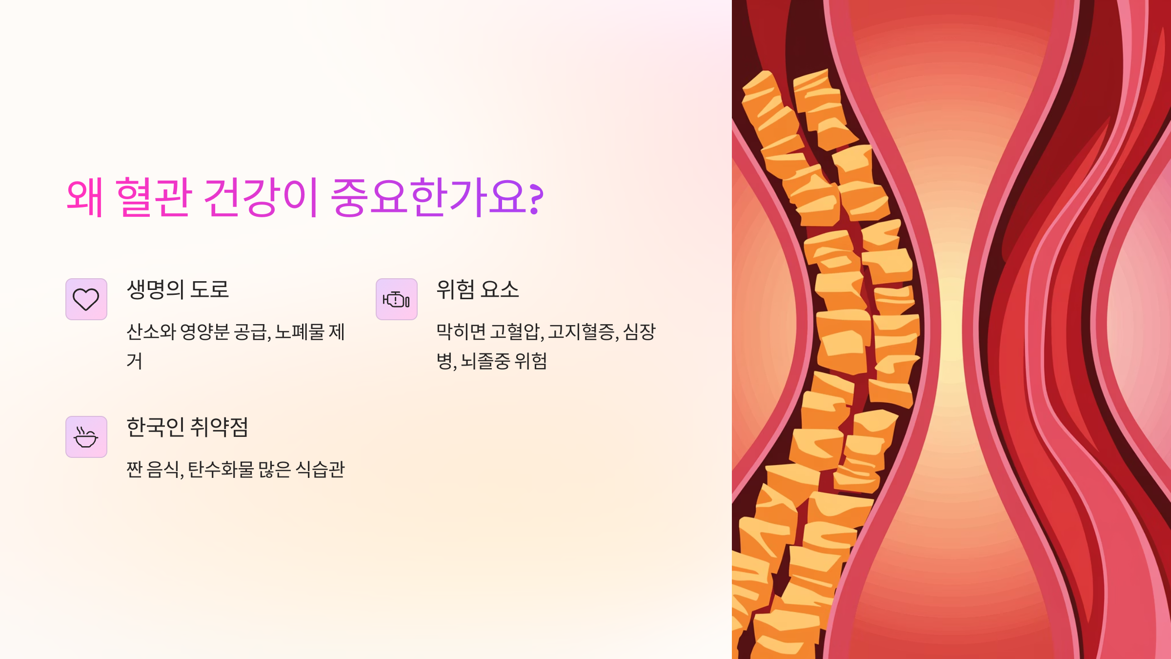 혈관 건강의 중요성 설명
