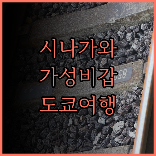 토요코 인 도쿄 시나가와 오이마치..