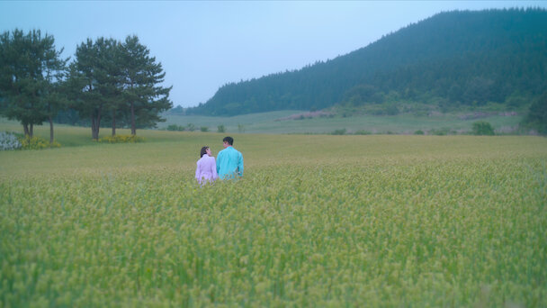 애순과 관식의 젊은 날 유채밭에서