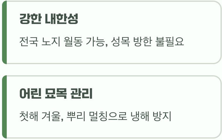 비결 5. 추운 겨울도 거뜬하게, '월동'
