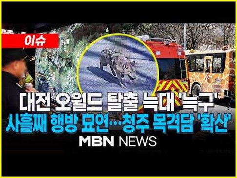 탈출한 늑구 뜻과 현재 위치 총정리