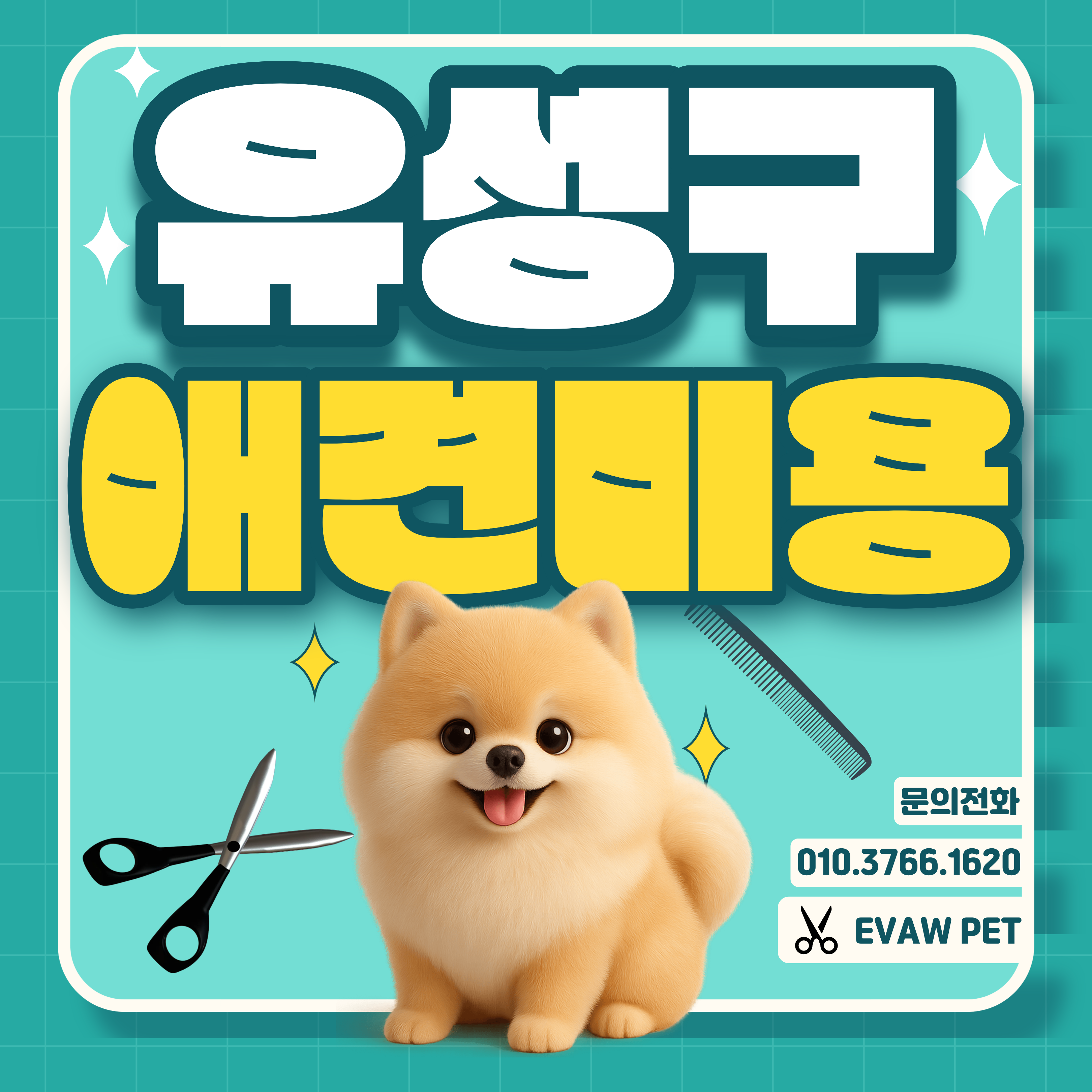 대전 유성구애견미용학원