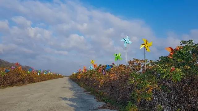 익산 시외버스터미널 시간표 예약 예매_7