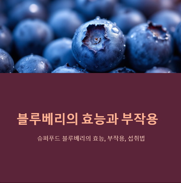 블루베리-효능-부작용