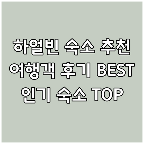 하얼빈 숙소 고민 끝! 여행객 후기와