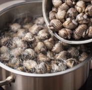 꼬막 해감 쉽게 하는 법