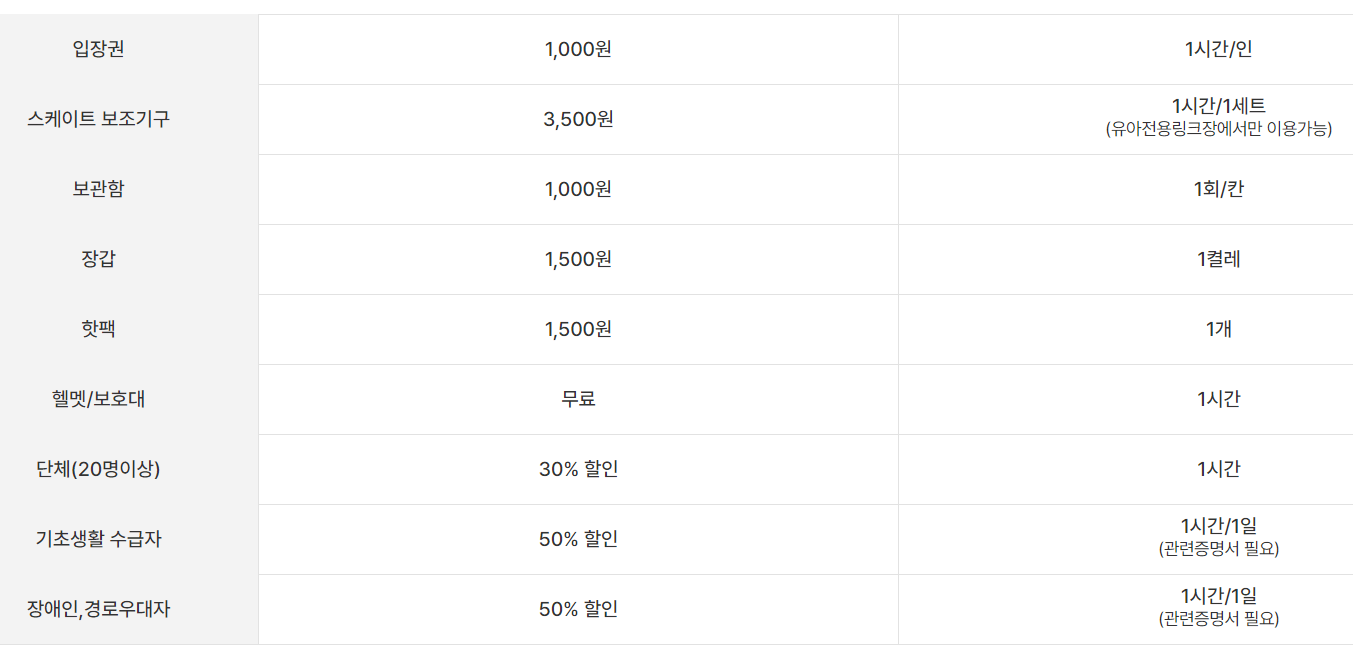 서울광장 스케이트장