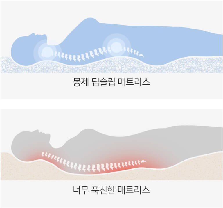 척추라인을 균형 있게