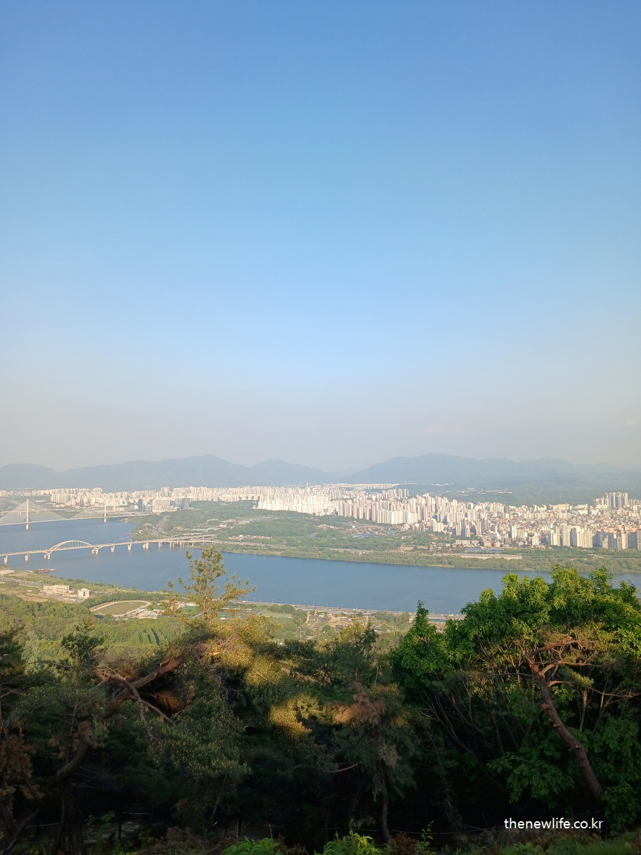 🥾 걷고 또 걸었습니다. 흙길을 밟고, 오르막을 넘고, 결국 정상에서 서울을 내려다보며 깨달았습니다. 살을 빼야 하는 이유는 숫자가 아니라, 이 순간을 느끼기 위해서였습니다.