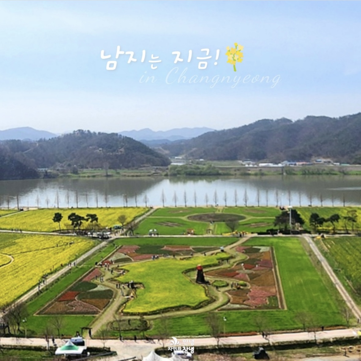 남지 유채꽃 축제 일정