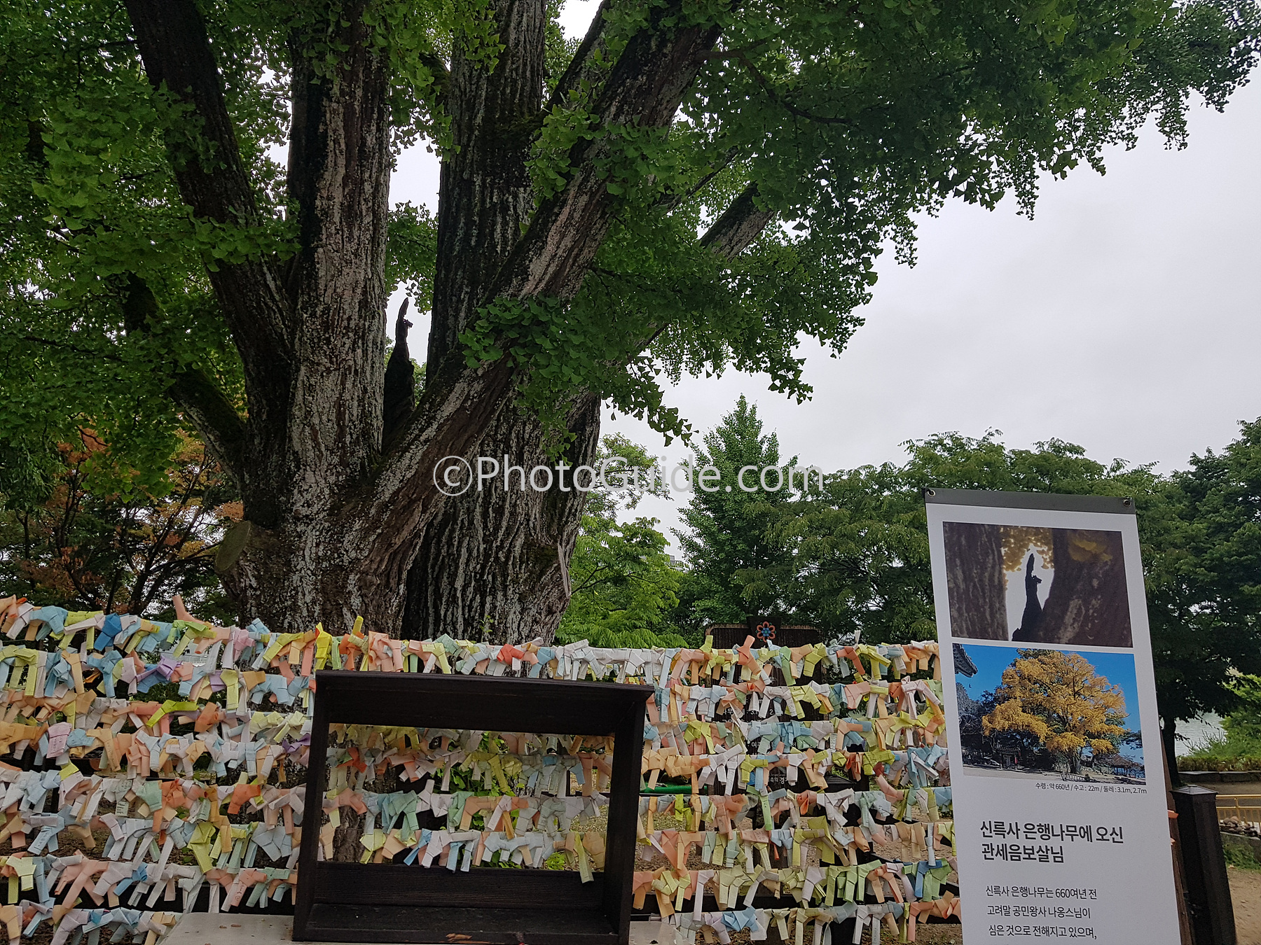 신륵사