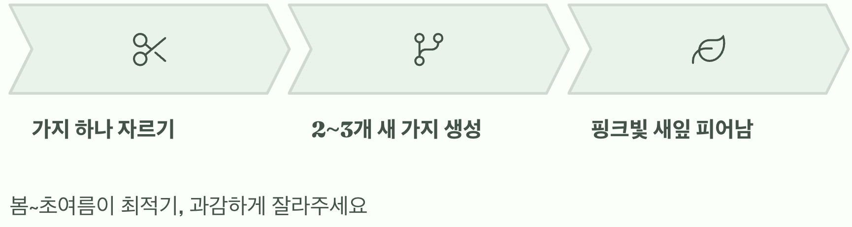 마법의 가위, 가지치기의 힘