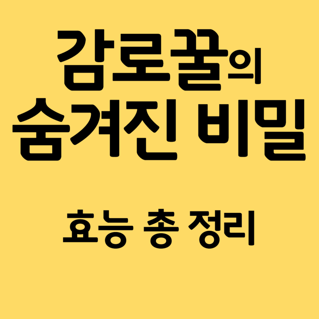 그리스아티키 감로꿀 효능, 주의사항, 구매 총 정리!