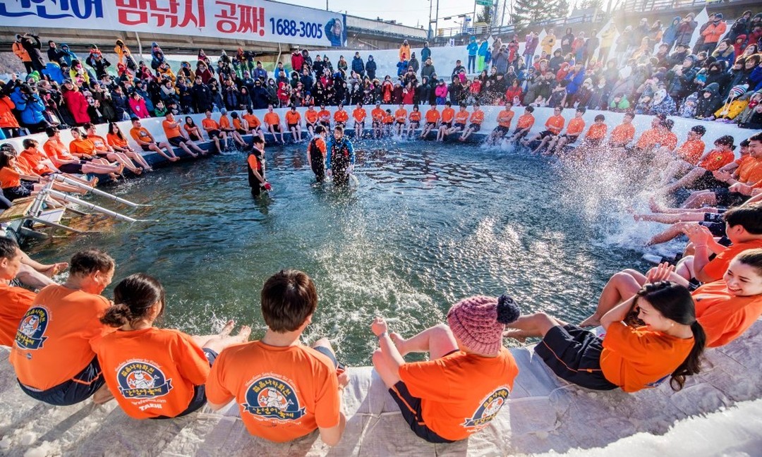 화천 산천어 축제! 맨손으로 산천어 잡기 행사