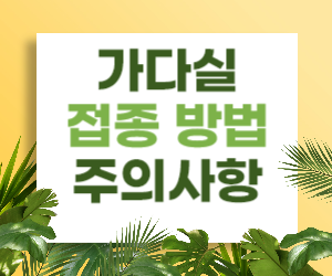 가다실 접종 방법 및 주의사항