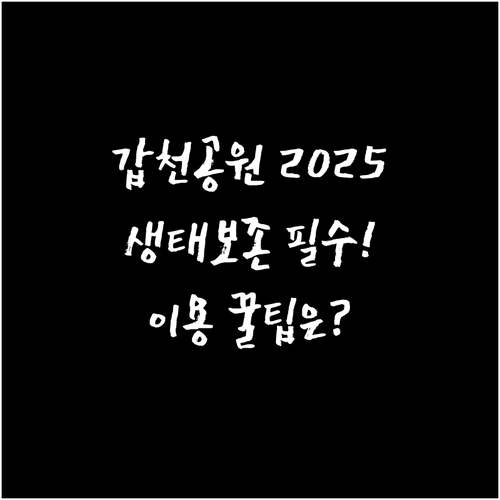 2025년 개장 대전 갑천생태호수공원..