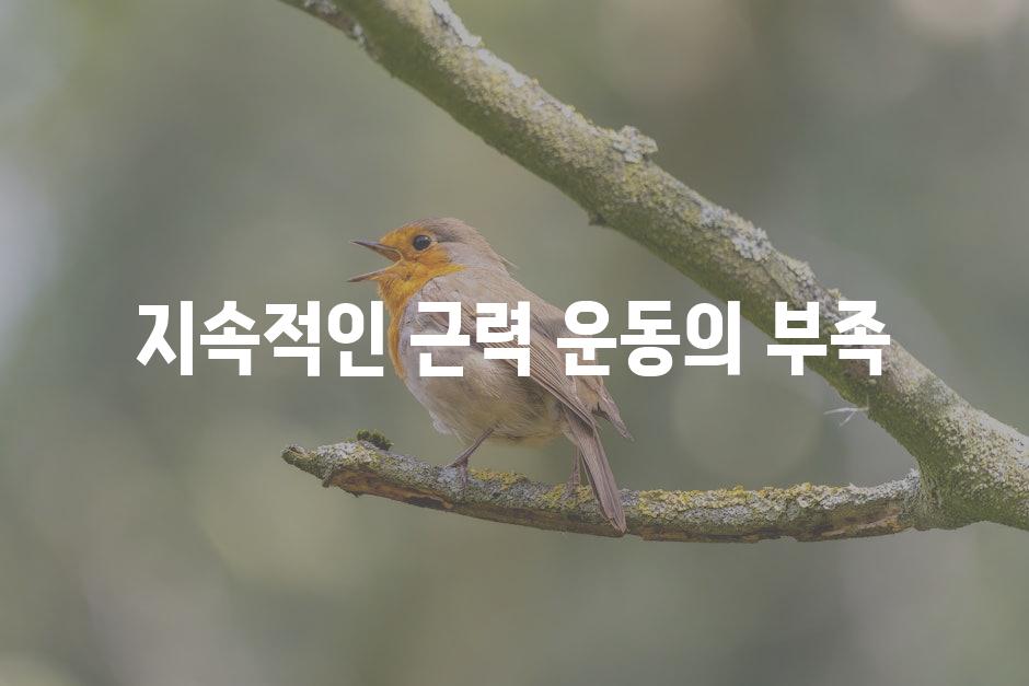 지속적인 근력 운동의 부족