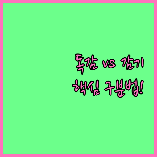 B형 독감과 일반 감기 차이점 및 예..