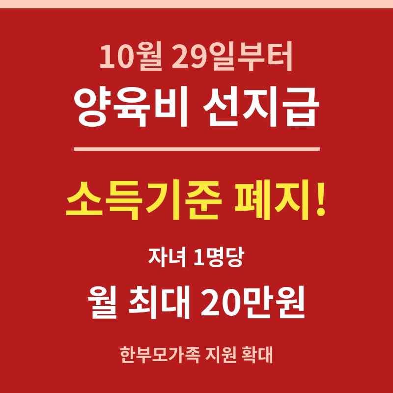 양육비 선지급 소득기준 폐지 월 20만원 카드뉴스