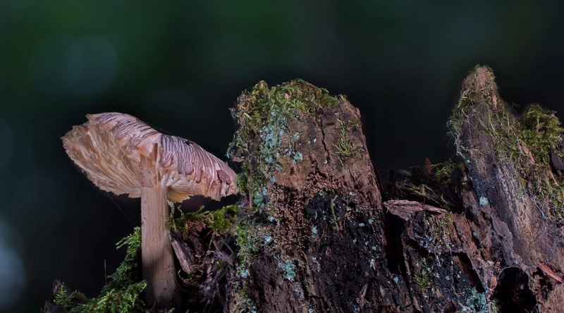 1. 공장 내부 칸막이의 필요성