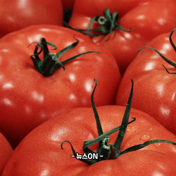 칼륨이 많은 과일과 채소