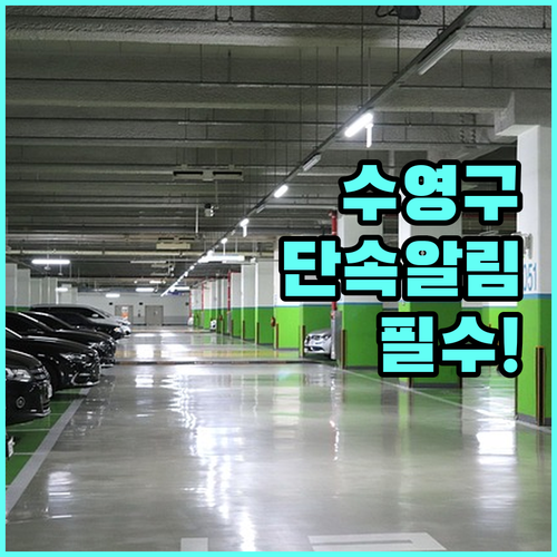 수영구 주정차단속알림 홈페이지 신청 ..