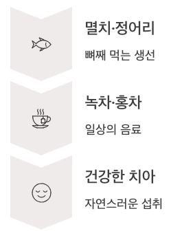 불소 많은 식탁