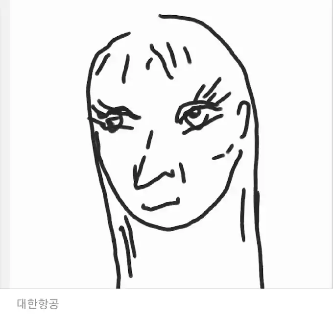 직업별 외모 그림 대한항공