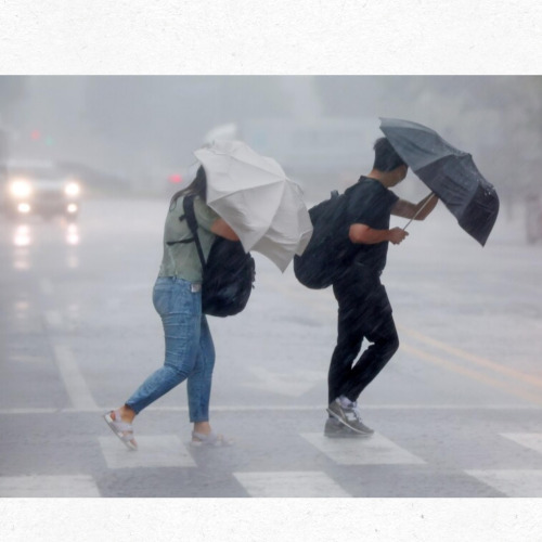 폭염 속 그늘에서 쉬는 시민