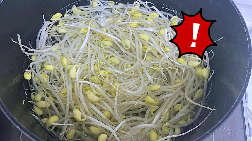 콩나물-삶기