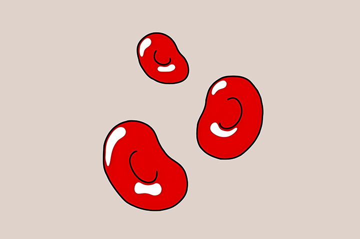 혈액-응고-촉진