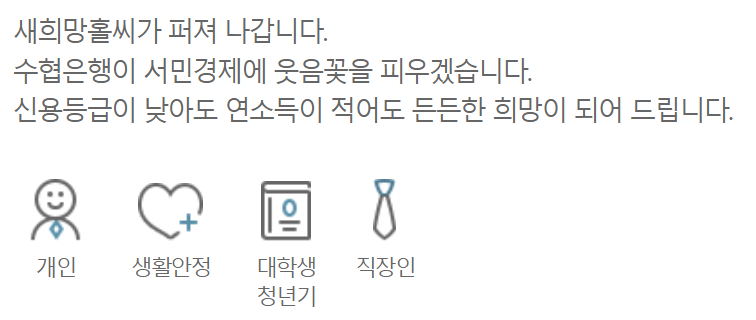 수협은행 새희망홀씨대출