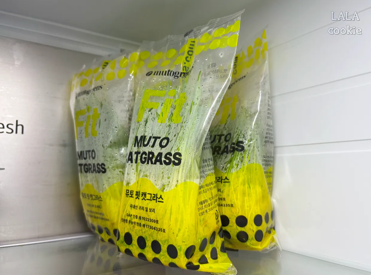 고양이가-좋아하는-풀-캣그라스-귀리-냉장보관-사진
