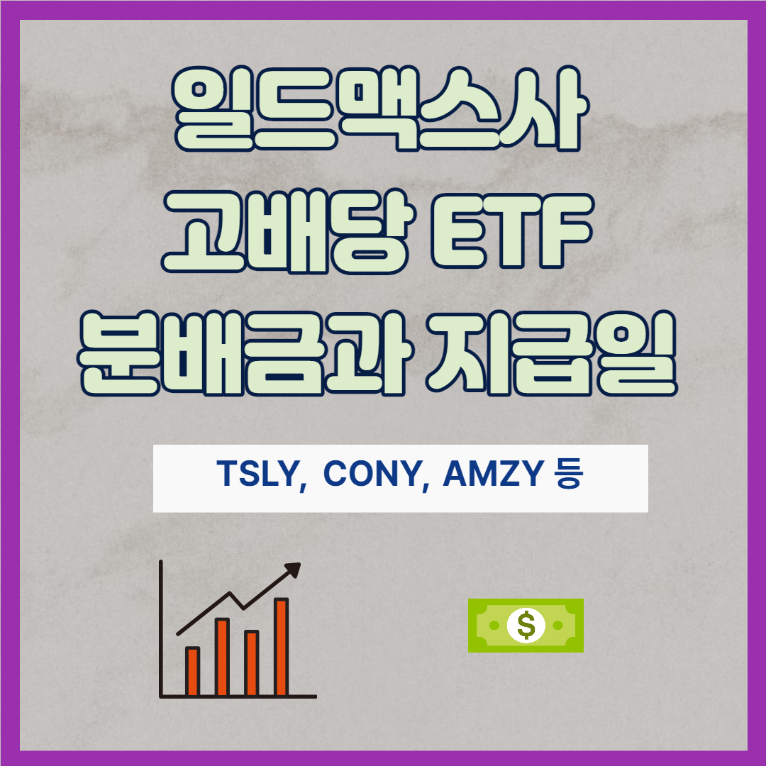 TSLY, CONY, AMZY 분배금, 지급일