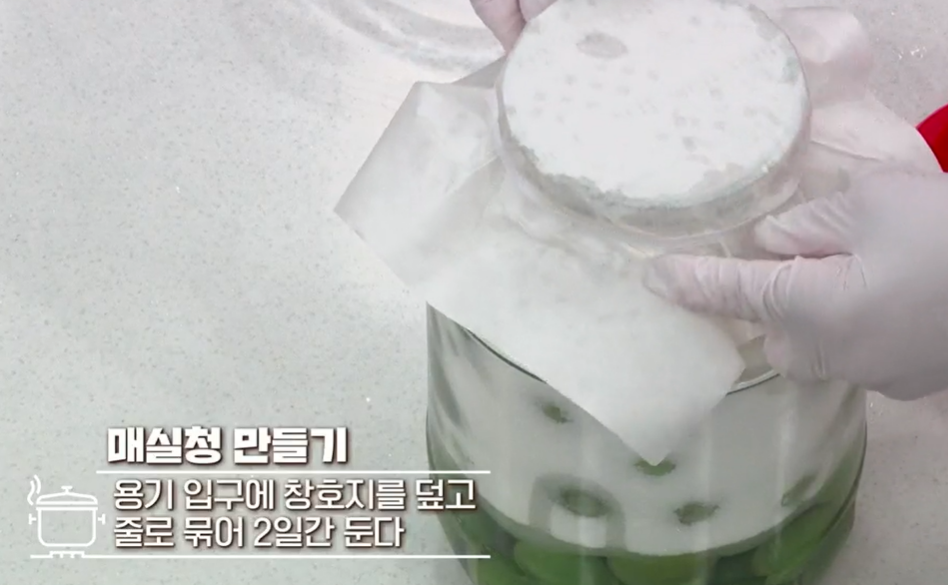 매실청 담그는 법
