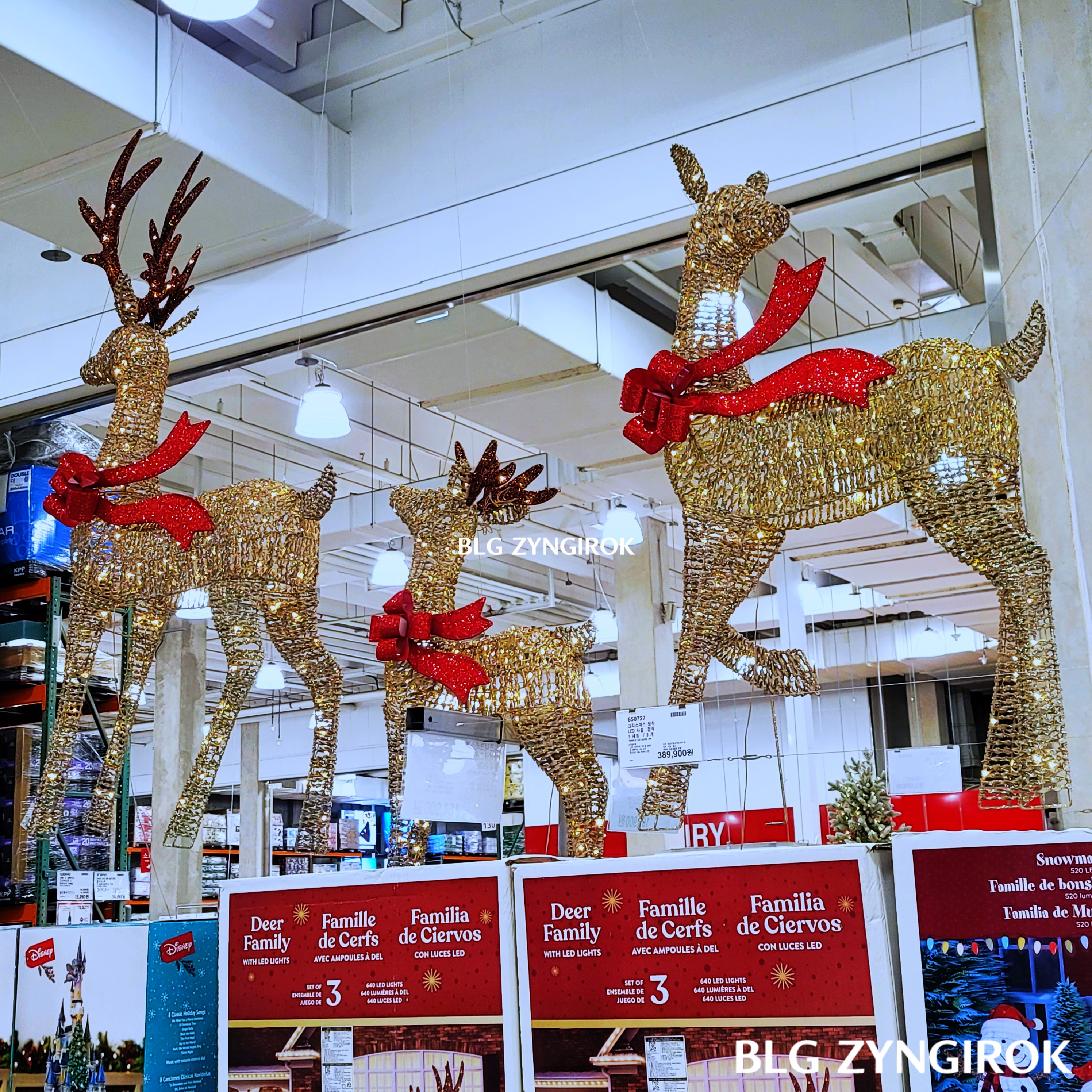 크리스마스-LED-사슴-모습이다.