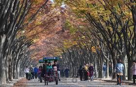 인천 가볼만한곳 베스트10 - 인천대공원