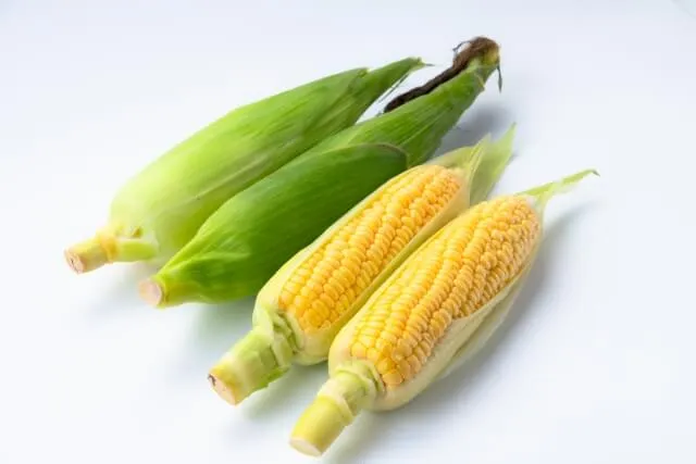 활성산소로 부터 보호 하는 옥수수 효능