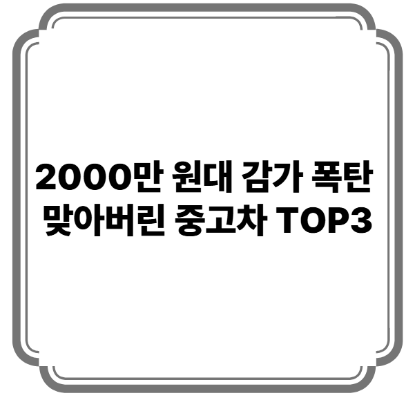 대표