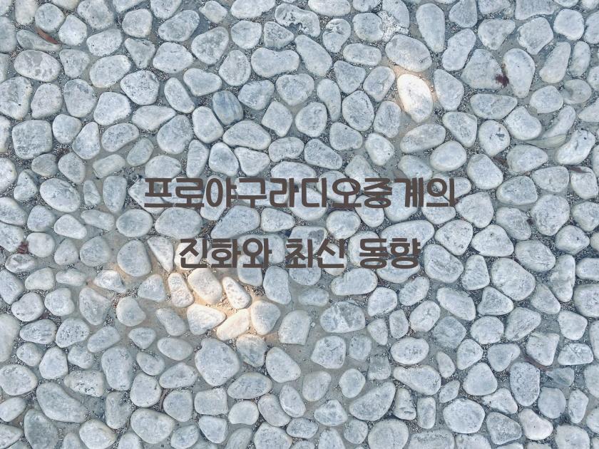 프로야구라디오중계