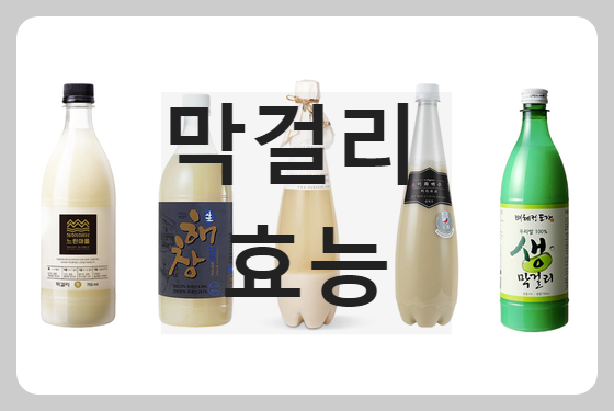 막걸리 여러 종류들