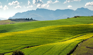 가래가 현대 농업에서는 무엇으로 대체되었을까?