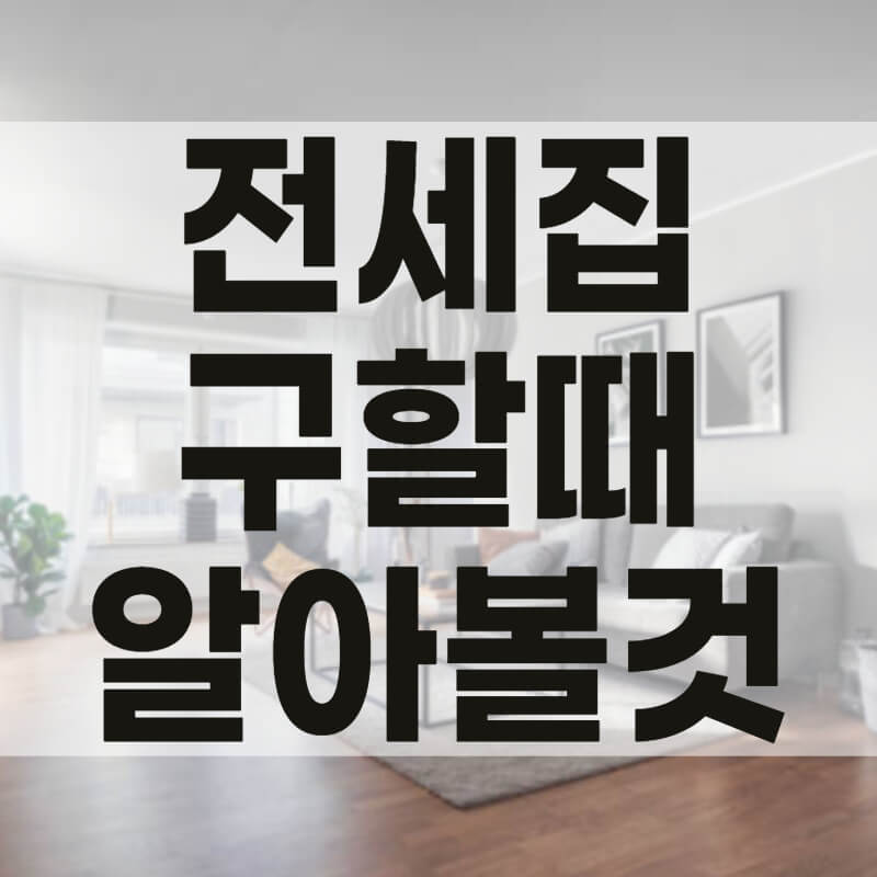 전세집 구할때 꼭 알아봐야 할 것