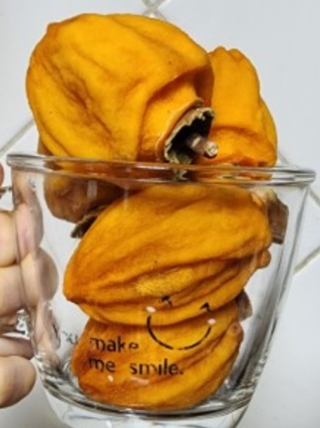 충북-영동-곶감-추풍령감골농장