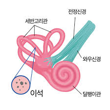 이석증 자가치료법